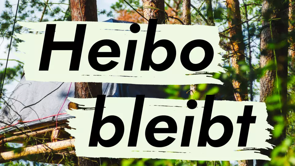 Heibo CD & Social Media